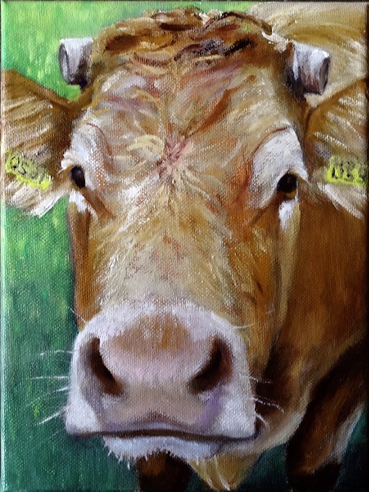 limousina kop schl dag3